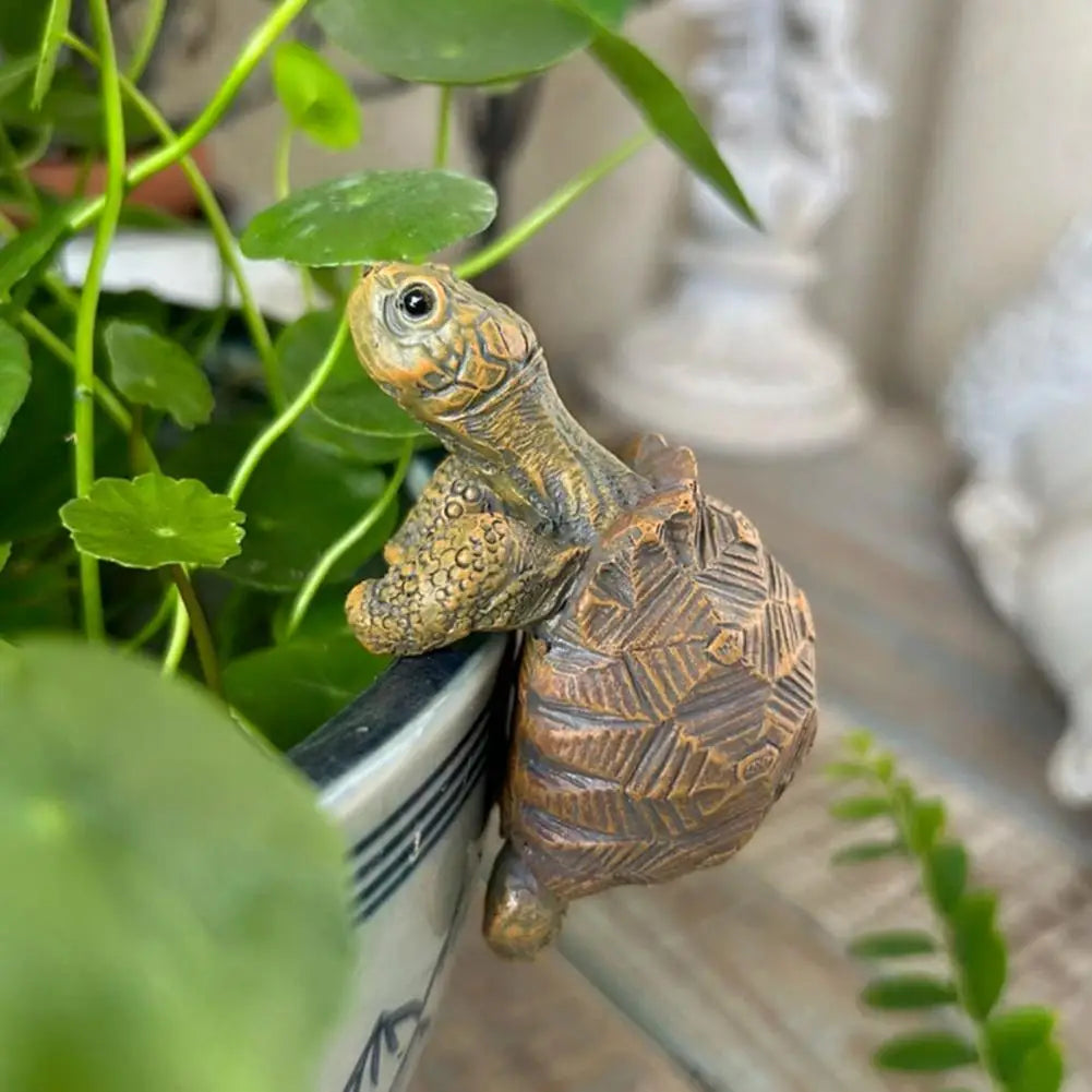 Pot-Top Turtle Buddy