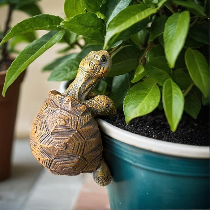 Pot-Top Turtle Buddy