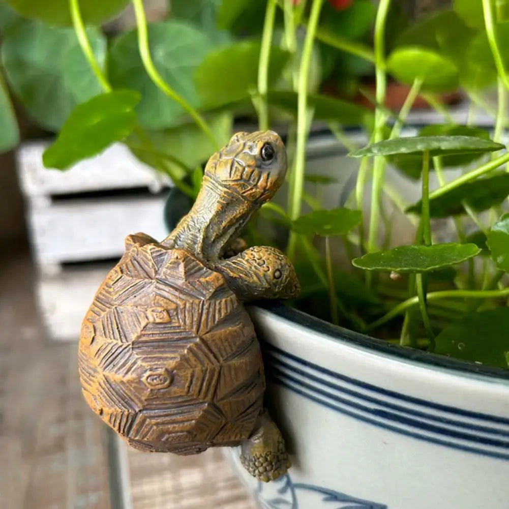 Pot-Top Turtle Buddy