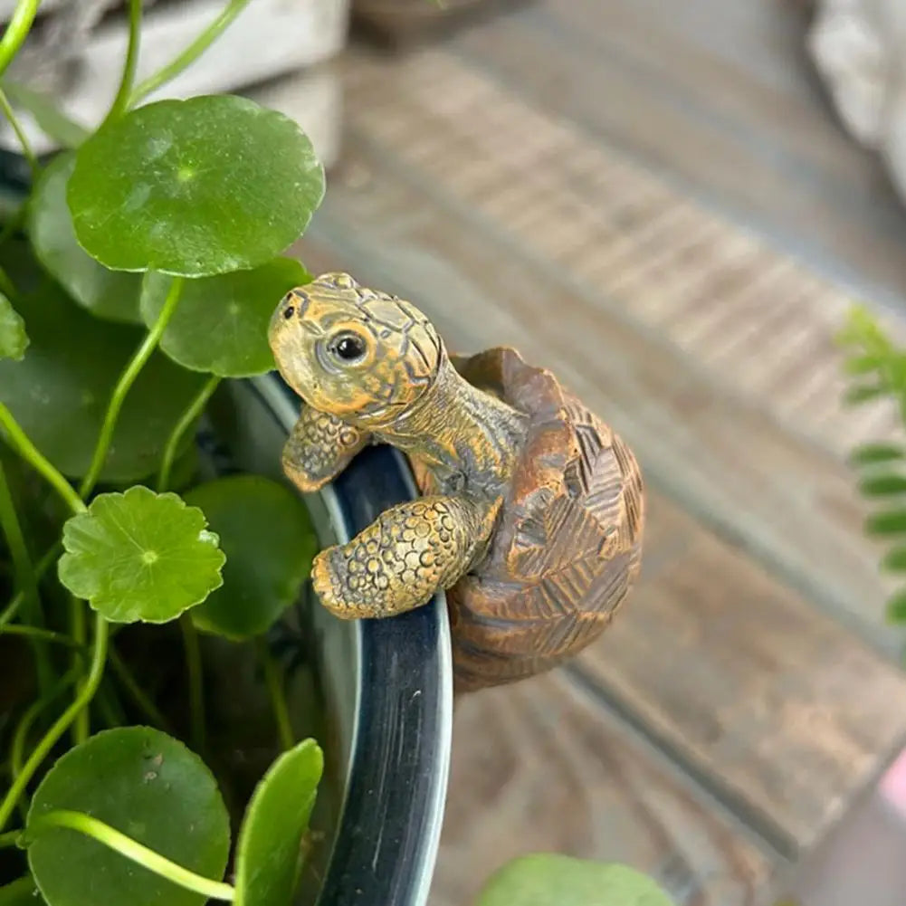 Pot-Top Turtle Buddy