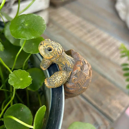 Pot-Top Turtle Buddy